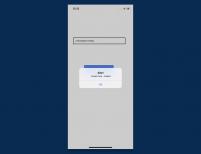 logo-Mod10 Credit Card Validation Function